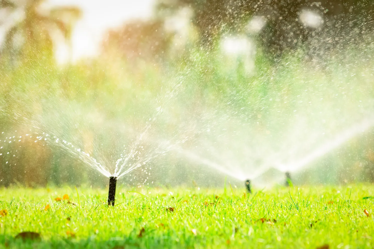 Irrigation Systems Irrigation Systems